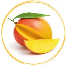 Пюре из манго "Фрут Руж и Ко" Франция, 1кг